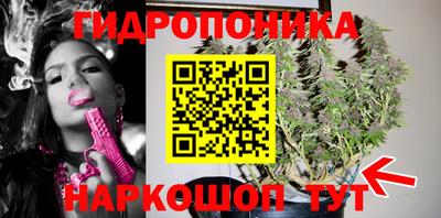 ешки Лесосибирск