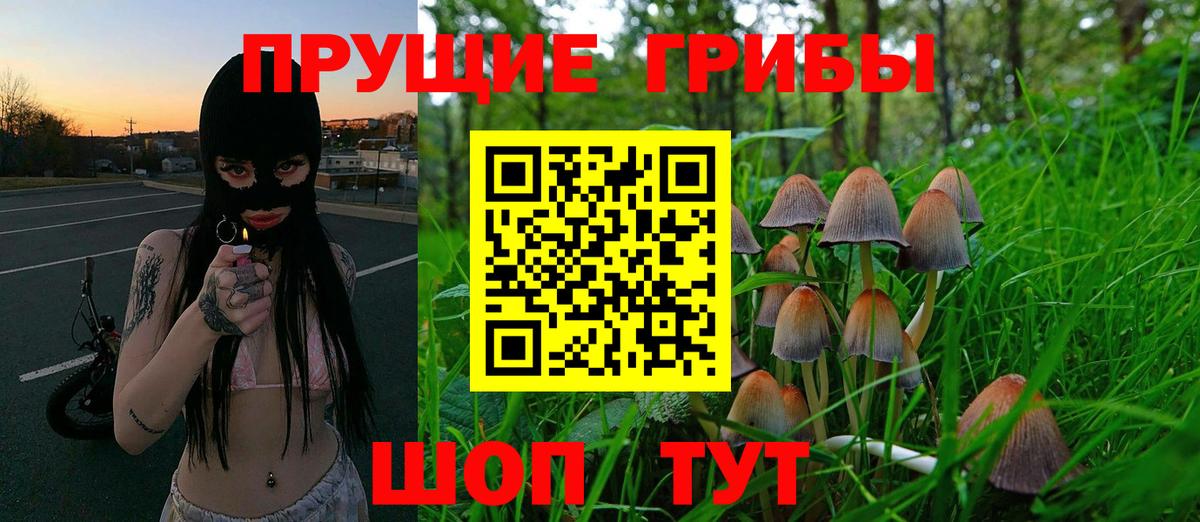 Галлюциногенные грибы Psilocybe  Вход с VPN  Ипатово 