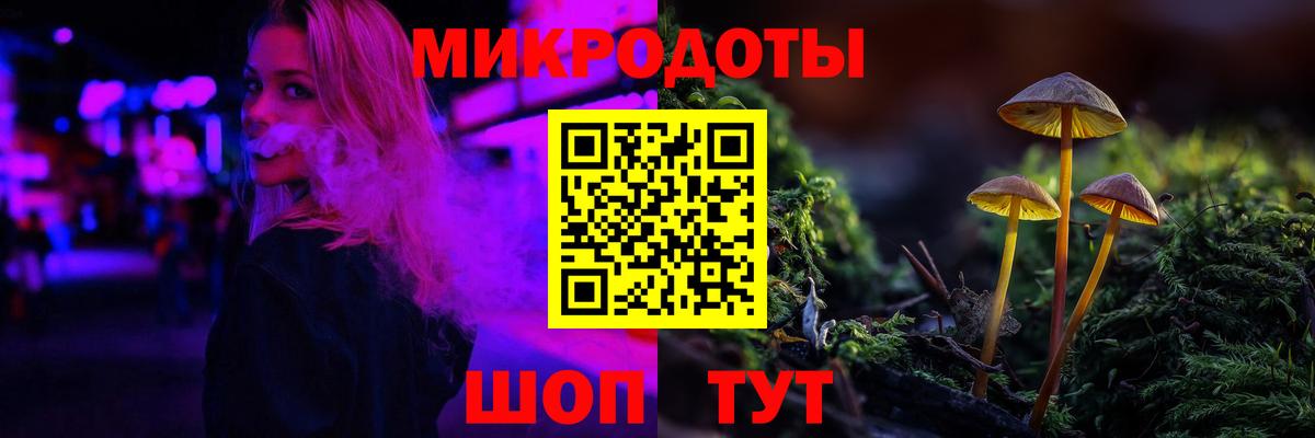 Псилоцибиновые грибы Psilocybe Ипатово